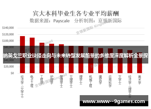 纳英戈兰职业抉择走向与未来转型发展前景的多维度深度解析全景探