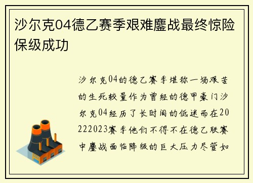 沙尔克04德乙赛季艰难鏖战最终惊险保级成功
